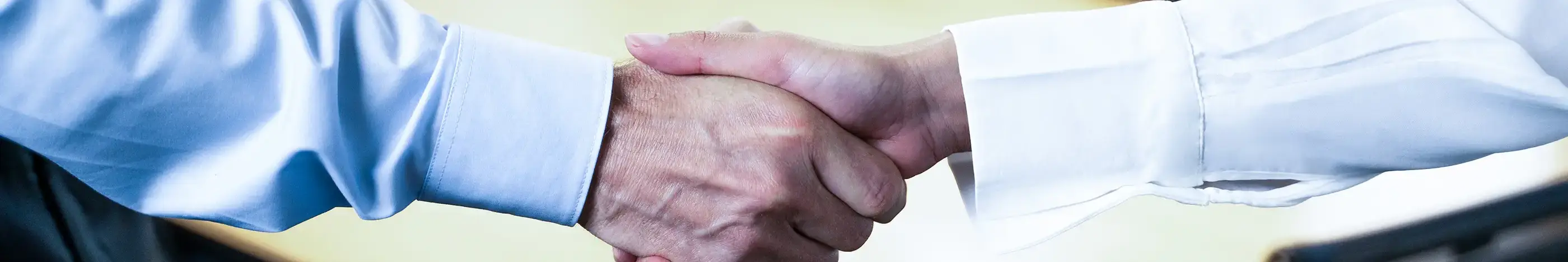 bibus-partner-handshake